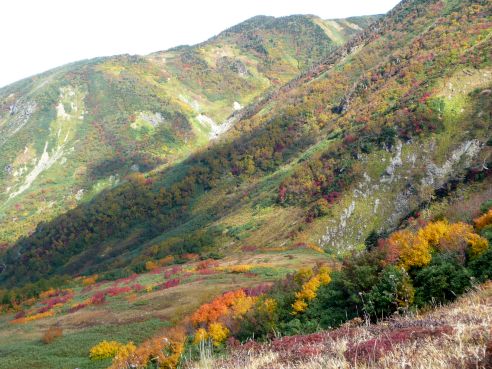 小屋の裏から眺める 写真