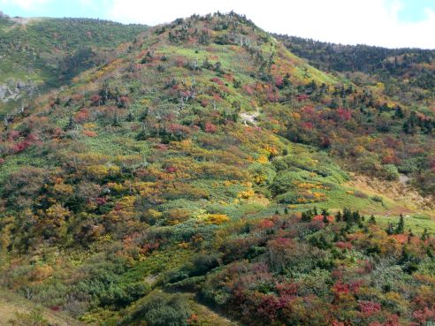 朝日岳山頂方面を見る 朝日平から 写真