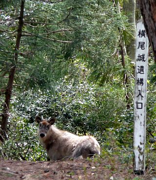 4月19日、馬りょう山山頂にて 写真