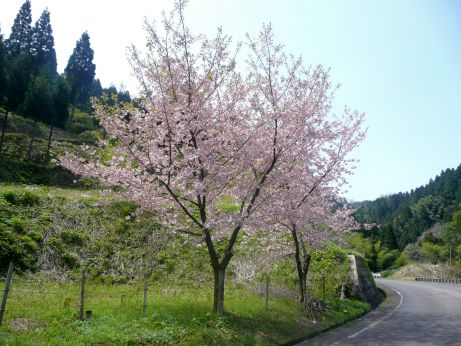 笹川、地区の外れで 写真