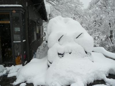 1月28日朝の様子 ひと晩でこんな感じに 写真