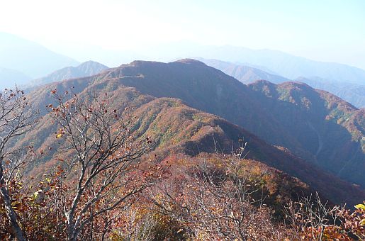 初雪山山頂付近から、白金の頭（しろがねのずこ）方向を見る　　08.10.19の画像