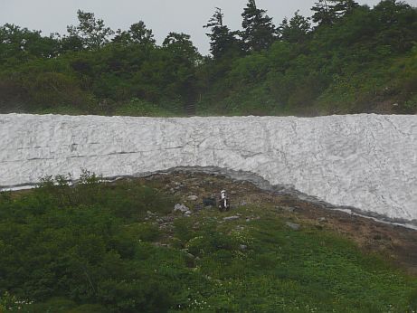 アヤメ平付近　　未だ雪が残る　　08.7.23の画像