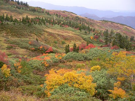 見事な、夕日ヶ原の紅葉　　　06.10.11の画像