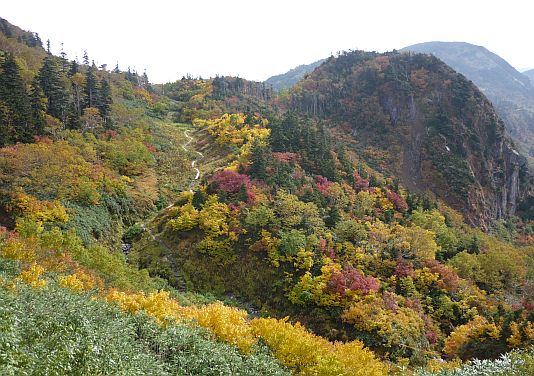 水平道の様子　　　08.10.7    photo by ガリの画像