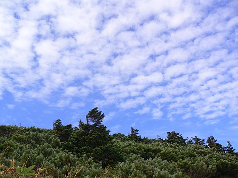 秋らしい、こんな風景にも出逢って 05.9.27 秋らしい、こんな風景にも出逢って 05.9.27 の画像