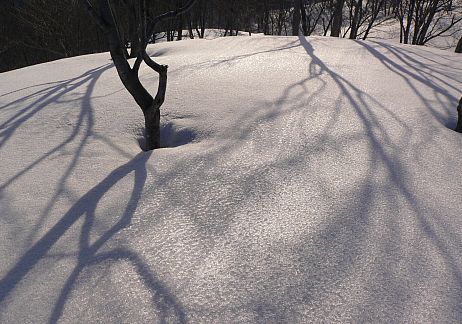 「大地」テント場付近にて　　　06.3.25の画像