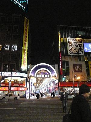 ネオンが眩しい、札幌・狸小路　　　08.3.24の画像