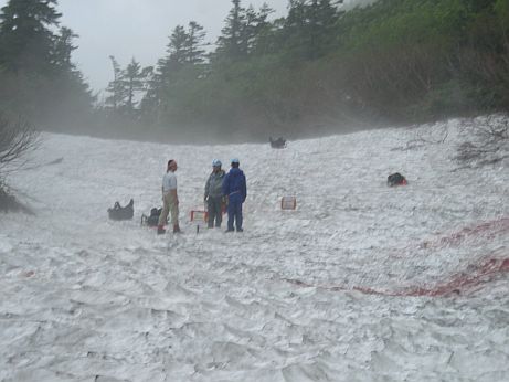 「水平道」分岐点の様子　　夏山事前パト　　08.7.12の画像