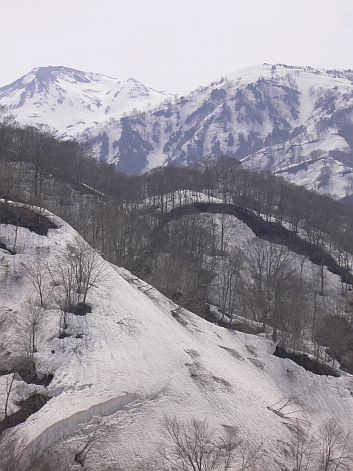越道峠から見る、恵振山と朝日岳 06.5.5 越道峠から見る、恵振山と朝日岳 06.5.5の画像