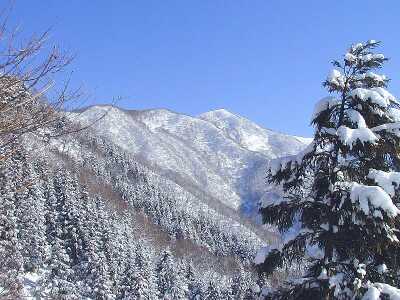 彼方に見える大地山を目指す 03.2.28 photo by shun 彼方に見える大地山を目指す 03.2.28 photo by shun