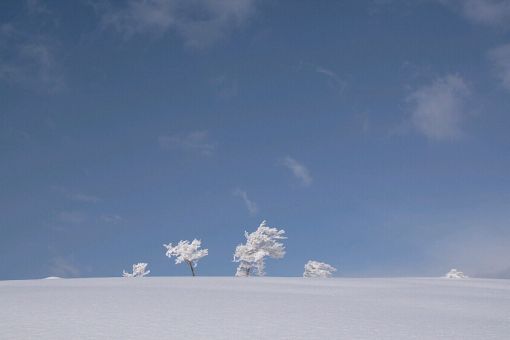 大地（おおち）山頂にて　　08.3.4    photo by  shun    の画像