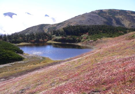 照葉の池にて　　　朝日岳をバックに　　　05.10.6の画像