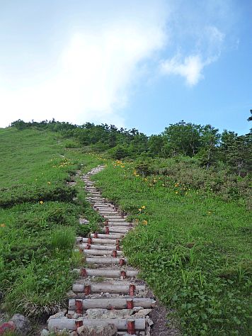 ニッコウキスゲ咲き誇る「栂海新道」を行く 08.8.13 photo by Yui ニッコウキスゲ咲き誇る「栂海新道」を行く 08.8.13 photo by Yuiの画像