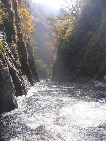 「長瀞」　　秋の日、朝陽を浴びて　　　06.10.29の画像