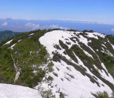 「馬の背」辺りから、恵振山を振り返る　　　08.6.15    photo by nyamaの画像