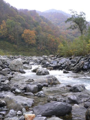 柳又谷・柳河原から、上流部を眺める　　　05.10.30の画像