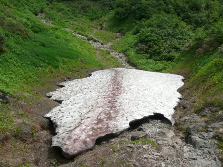 水平道の雪、支障なく通行できます 10.8.2 写真